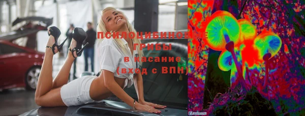 гашик Лиски