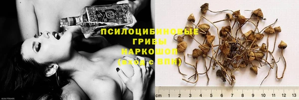 гашик Лиски
