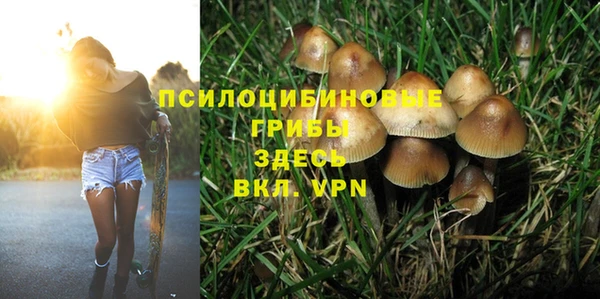 мдпв Лихославль