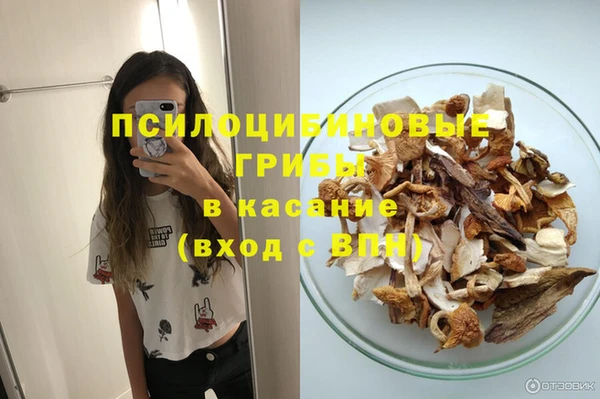 гашик Лиски