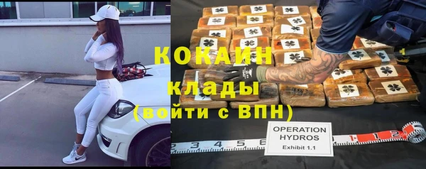 гашик Лиски