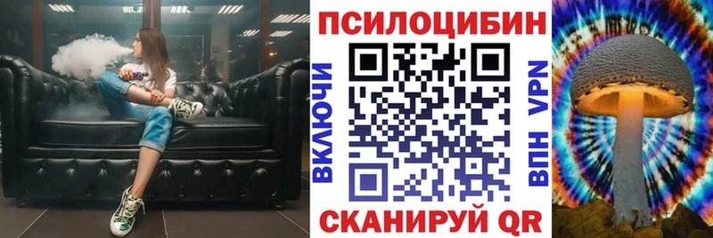 Купить где  Кувандык  Галлюциногенные грибы Psilocybe 