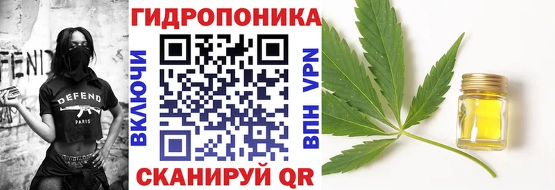 Купить Кувандык Конопля семена